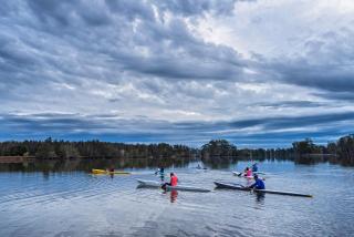 Discovery Parks - Forster - 1