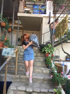 Guest House Loza - Signagi - 4