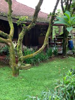 Kampoeng Wisata Rumah Joglo - 1