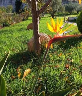 Vergina Star Hotel - 7