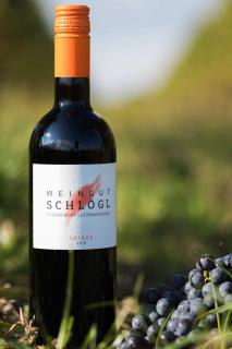 Pension Schlögl - Lutzmannsburg - 9