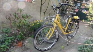 B&B Aan het Park Eindhoven - Eindhoven - 7