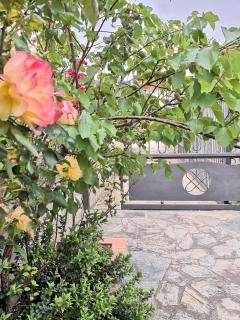 Casa Il Giardino - Orosei - 7