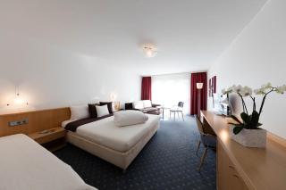 Hotel Höfli - Altdorf - 9