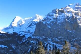 Chalet Raufthubel - Mürren - 7