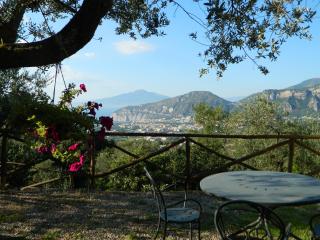 Gli Ulivi Agriturismo - Sant'Agnello - 1