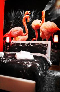 FLAMINGOS Apartman & Fitness centar OSIJEK - blizina Bolnice KBC Osijek - Osijek - 8