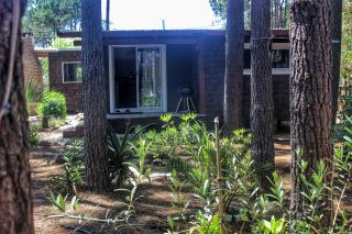 Pinocha Point Bungalows - 9