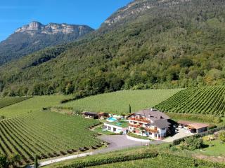 Weingut Wolkanhof - Appiano sulla Strada del Vino - 4