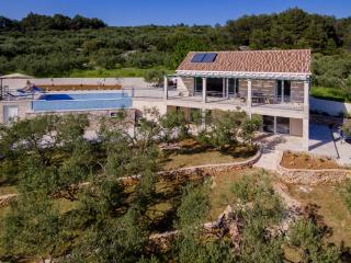 The Olive Tree Villa - Sumartin - 9