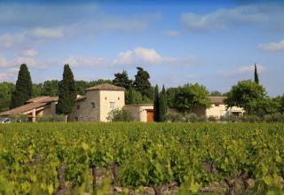 Gite des amis Domaine de Mas Caron - Caromb - 0
