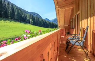 Bauernhof Mandlberger - Schladming - 3