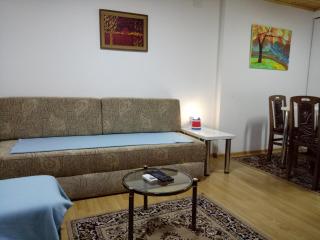 Tiki Apartmen - Belgrad - 7