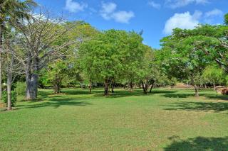 Kaskazi Beach Resort - Diani Beach - 4