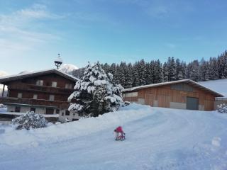 Ferienwohnung Angererhof - Reith im Alpbachtal - 9