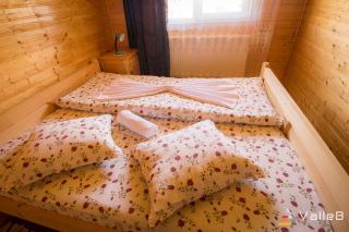 Cabana Ghetari - Gheţari - 1