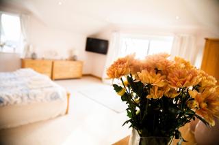 2 Princes Cottages - Plymouth - 3