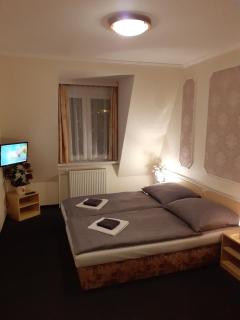 Simple Pension Velický Zámoček - 4