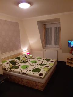 Pension Velický Zámoček - Poprad - 9