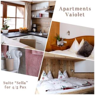 Apartments Vaiolet - Santa Cristina Gherdëina - 3