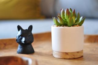 Loft Luis - Bikepark & Skilift - - Winterberg - 7