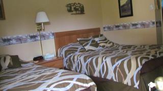 Casablanca Motel - Manchester - 4