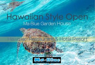 Ma-Blue Garden House - Motobu - 0