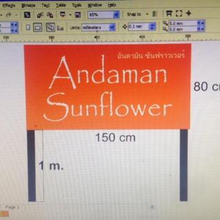 Andaman Sunflower - 1