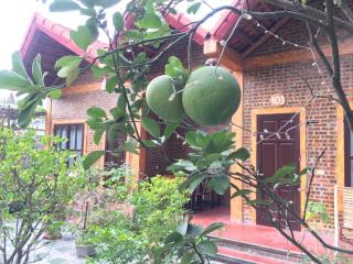 Tam Coc Vinh Thinh Homestay - Ninh Binh - 5