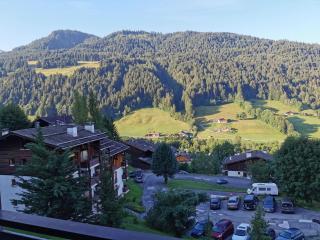 Studio le Grand-Bornand Village - Le Grand-Bornand - 0