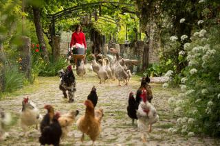 Casa Das Palmeiras-Pedagogic Farm - Mangualde - 7
