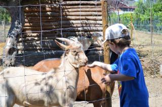 Casa Das Palmeiras-Pedagogic Farm - Mangualde - 0