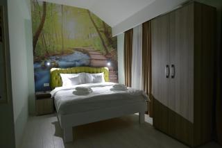 Srpsko Andrejevo Selo - Belgrado - 8