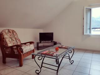 Au bord du Foron - 1