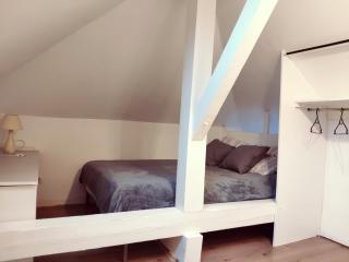 Au bord du Foron - Scionzier - 2