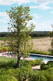 Village Castigno - Wine Hotel & Resort - Assignan - 2