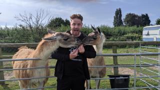 Glamping with Llamas - 1