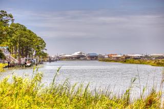 Bayou Heron 1B - Dauphin Island - 4