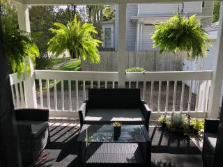 Historic Astor Park walk to Hospitals, shops & more - 3