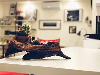 Il BorGhetto Guest House - Civitavecchia - 5