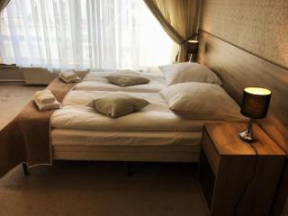 Apartamenty Pałacowe - 2