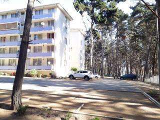 Departamento Bosques del Tabo - 3