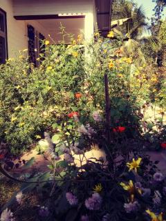 "Dulce Hogar" homestay - Majuli - 1