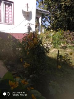"Dulce Hogar" homestay - Majuli - 2