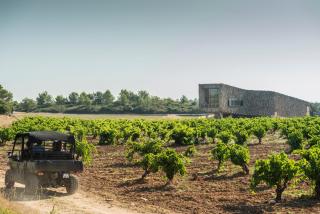 Village Castigno - Wine Hotel & Resort - 3