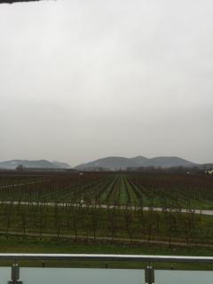 Valley ferienwohnung SÜW - Heuchelheim-Klingen - 7