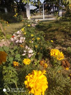 "Dulce Hogar" homestay - Majuli - 6