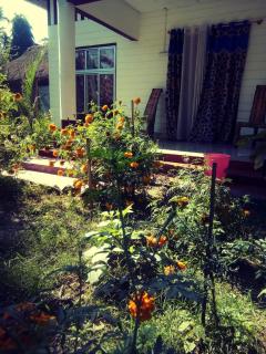 "Dulce Hogar" homestay - Majuli - 7