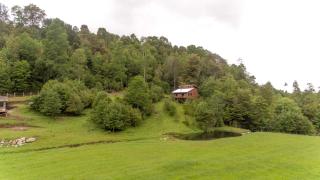 Entre Pampa y Bosque - Villarrica - 5