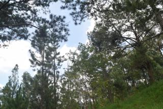 Hotel Phạm Duy - Dalat - 4